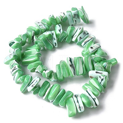 Dyed Natural Trochus Shell Beads Strands SSHEL-C013-09H-1