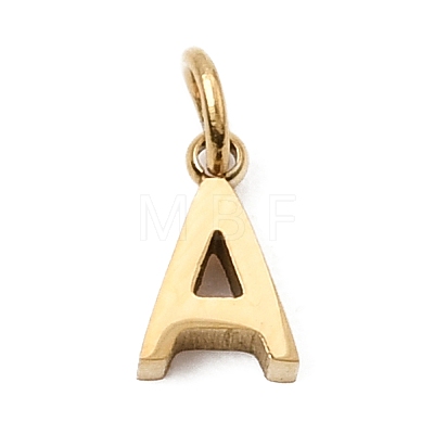 304 Stainless Steel Charms SA-CBABF3F-01G-A-1