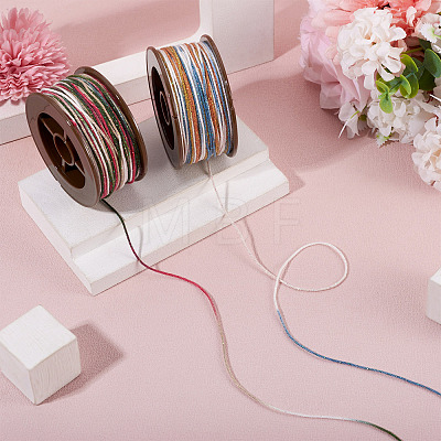 2 Rolls 2 Colors Segment Dyed Round Polyester Twisted Cords OCOR-TA0003-71-1