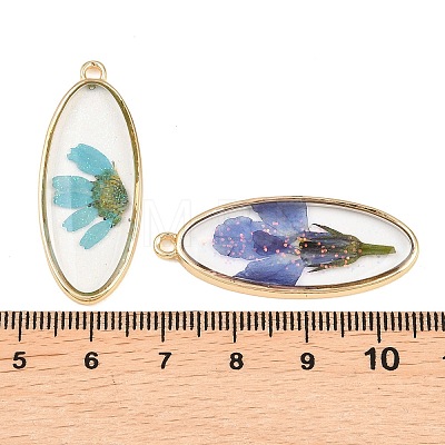 Alloy Epoxy Resin Pendants FIND-Z114-01G-03-1