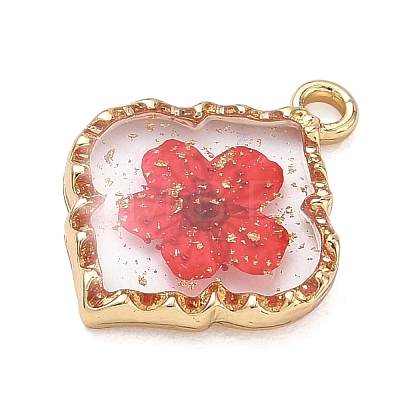 Alloy Epoxy Resin Pendants AL-Z001-08G-06-1