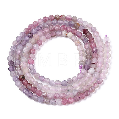 Natural Mixed Gemstone Beads Strands G-D080-A01-03-19-1