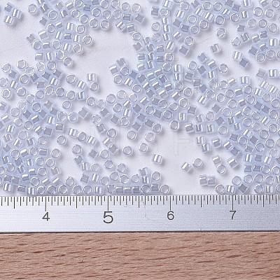 MIYUKI Delica Beads X-SEED-J020-DB0257-1
