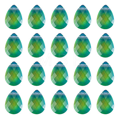 Glass Charms GLAA-TAC0012-28A-1