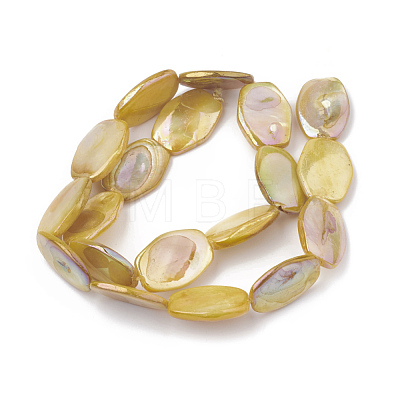 AB Color Freshwater Shell Bead Strands SHEL-T009-04D-1