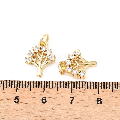 Brass Micro Pave Cubic Zirconia Charms KK-C162-036G-1