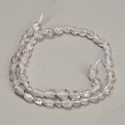 Natural Biotite Beads Strands GG-CBAC61B-B02-02-B-1