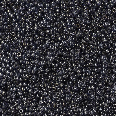 MIYUKI Round Rocailles Beads SEED-G007-RR2447-1