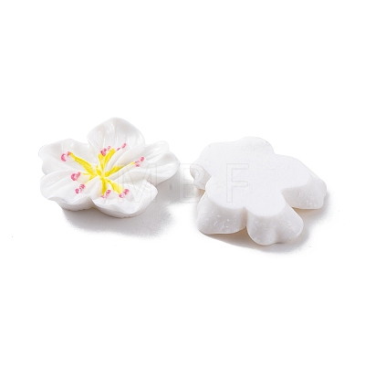 Resin Cabochons OACR-U002-03C-1