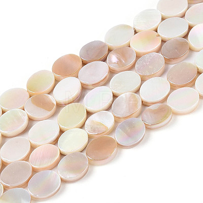 Electroplated Natural Freshwater Shell Beads Strands SHEL-N038-27-1