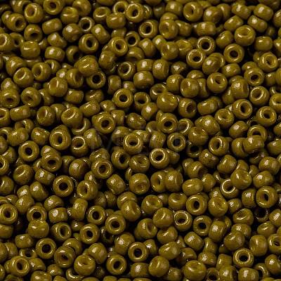 MIYUKI Round Rocailles Beads X-SEED-G008-RR4491-1