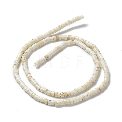 Natural Howlite Beads Strands G-E604-A01-C-1