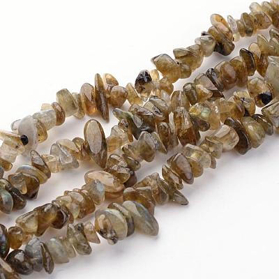 Natural Labradorite Chips Beads Strands X-F069-1