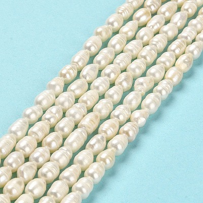 Natural Cultured Freshwater Pearl Beads Strands PEAR-E016-166-1