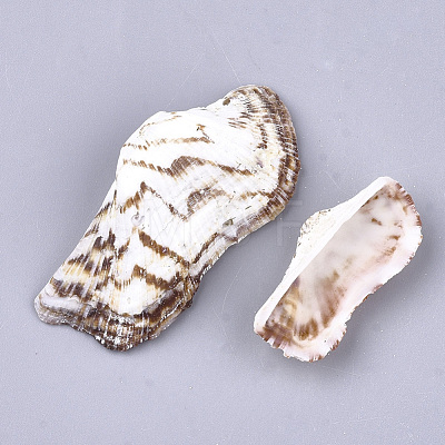 Sea Shell Beads SSHEL-S258-56-1