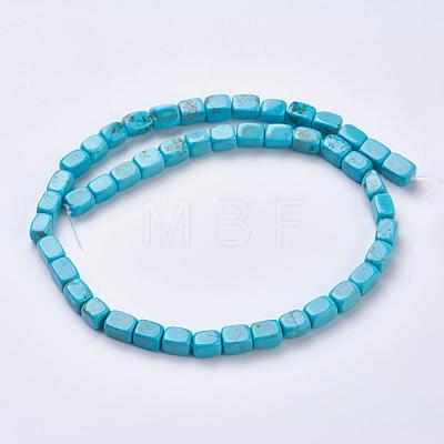 Natural Magnesite Beads Strands TURQ-K003-11C-1
