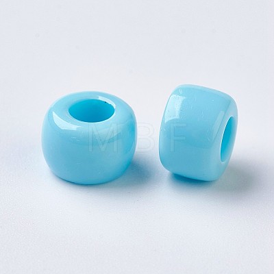 European Resin Large Hole Beads X-RESI-WH0002-06A-1