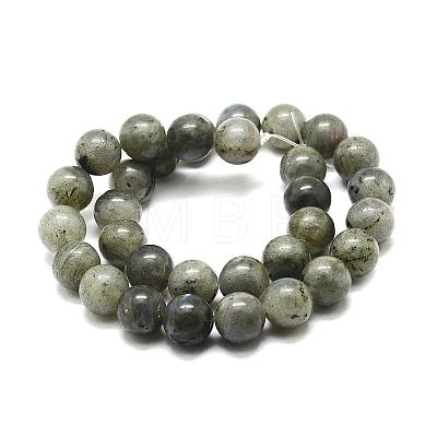 Natural Labradorite Bead Strands G-P256-01-8mm-1