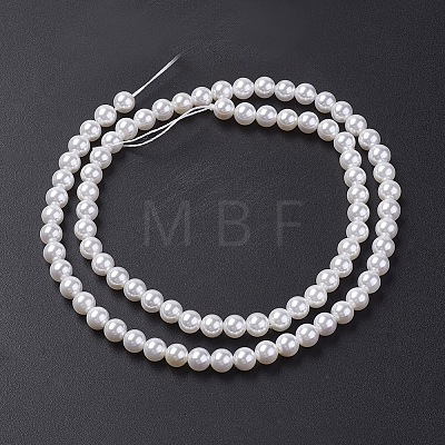 Shell Pearl Bead Strands X-BSHE-P023-3mm-1