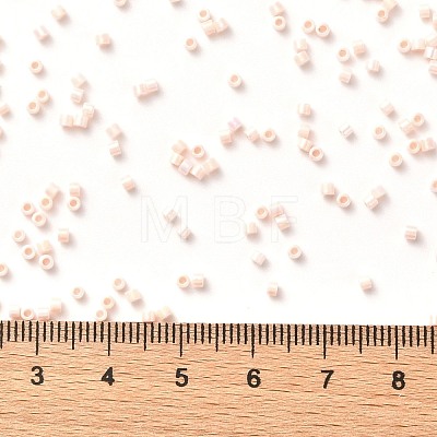 Cylinder Seed Beads SEED-H001-B05-1