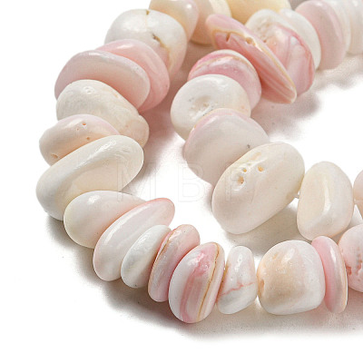 Natural Seashell Shell Beads Strands SSHEL-H072-10-1