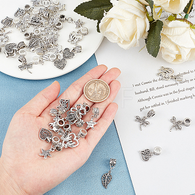 40Pcs 10 Style Tibetan Style Alloy European Dangle Charms MPDL-SC0001-06-1
