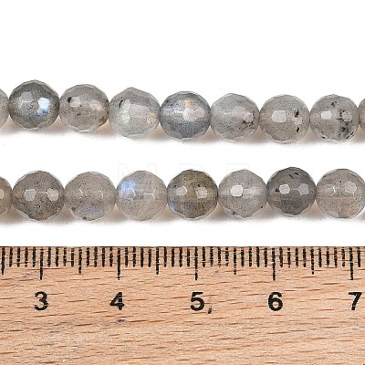 Natural Labradorite Beads Strands G-O176-04B-1