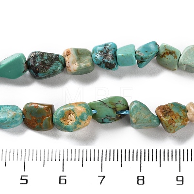 Natural Hubei Turquoise Beads Strands X-G-P497-01C-51-1