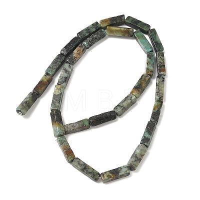 Natural African Turquoise(Jasper) Beads Strands G-G837-02-1