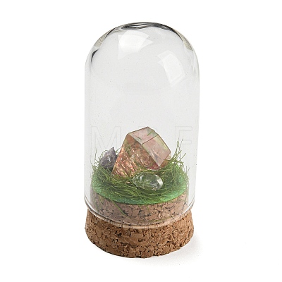 Natural Gemstone Nuggets Display Decoration with Glass Dome Cloche Cover DJEW-B009-04-1