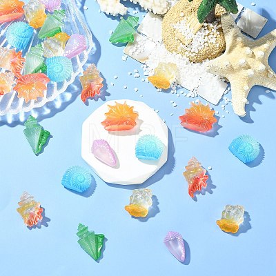 30Pcs 6 Styles Luminous Resin Conch Display Decorations DJEW-CJ0001-37-1