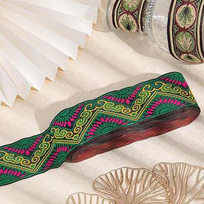 Ethnic Style Embroidery Polyester Ribbons OCOR-WH0070-23B-1