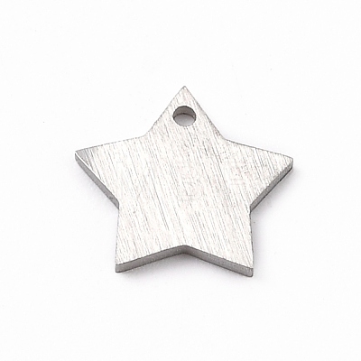 304 Stainless Steel Pendants STAS-F271-04A-P-1