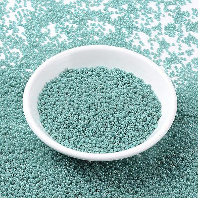 MIYUKI Round Rocailles Beads SEED-G007-RR0481-1