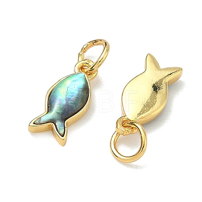 Natural Paua Shell Fish Charms X-KK-F926-04A-1