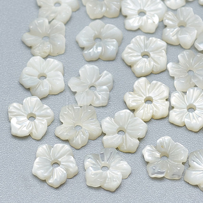 Natural White Shell Beads SSHEL-S260-003-1