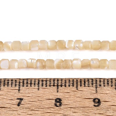Natural Trochid Shell/Trochus Shell Beads Strands BSHE-T014-52A-02-1
