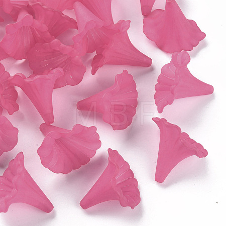 Transparent Acrylic Beads X-BSF796-C16-1