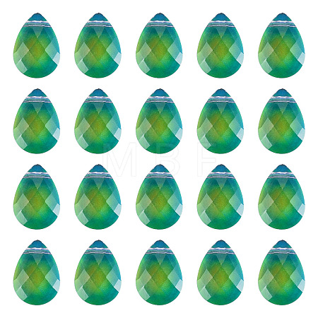 Glass Charms GLAA-TAC0012-28A-1