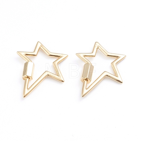 Brass Screw Carabiner Lock Charms ZIRC-I041-02G-1