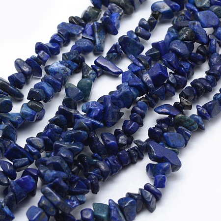 Natural Lapis Lazuli Beads Strands G-P332-14-1