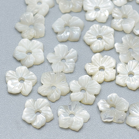 Natural White Shell Beads SSHEL-S260-003-1