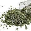 TOHO 11/0 Round Beads X-SEED-TR11-2632F-1
