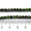 Natural Diopside Beads Strands G-G188-B14-02-5