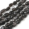 Natural Silver Sheen Obsidian Beads Strands G-C286-A21-1