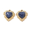 Natural Lapis Lazuli Pendants STAS-P453-12G-02-1