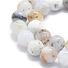 Natural White African Opal Beads Strands G-P457-C03-03-2