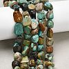 Natural HuBei Turquoise Beads Strands G-B161-B09-1