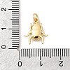 Brass Pendants KK-Z135-10G-3