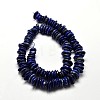 Natural Lapis Lazuli Chip Beads Strands X-G-E271-63-2